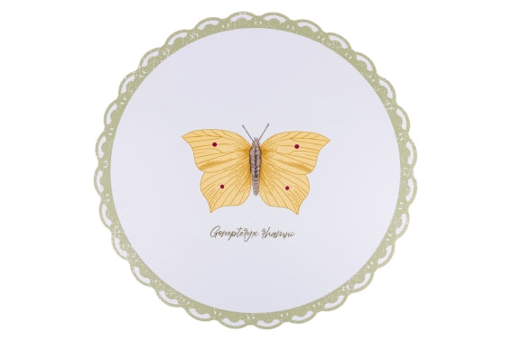 BOTANIST PLACEMAT 6 ASS D.40 - 5922741