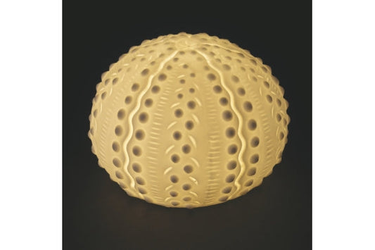 OCEAN SEA URCHIN LED 6.2CM - 5922928