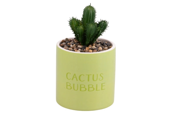 CACTUS BUBBLE PIANTINA 10X20CM - 5923861
