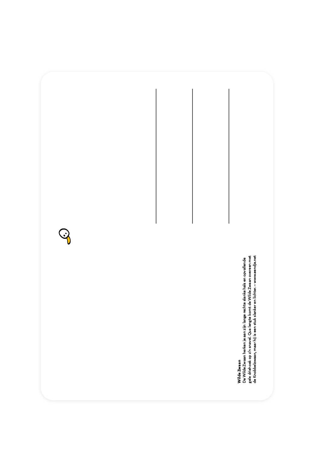 Postal con cisne salvaje