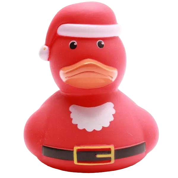 Kerstman Eend