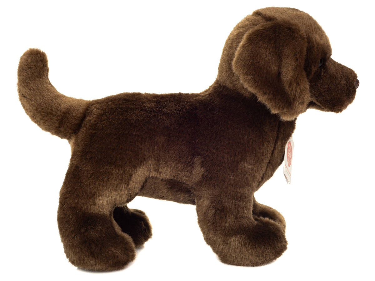 Peluche Labrador Marrón de Pie – 30 cm