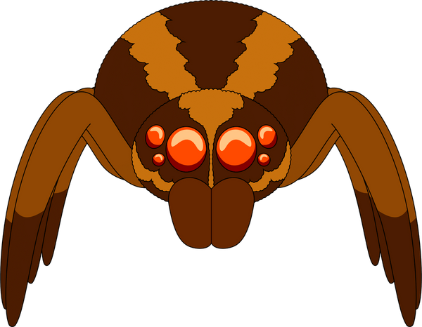 Wolf Spider Plush (9in)