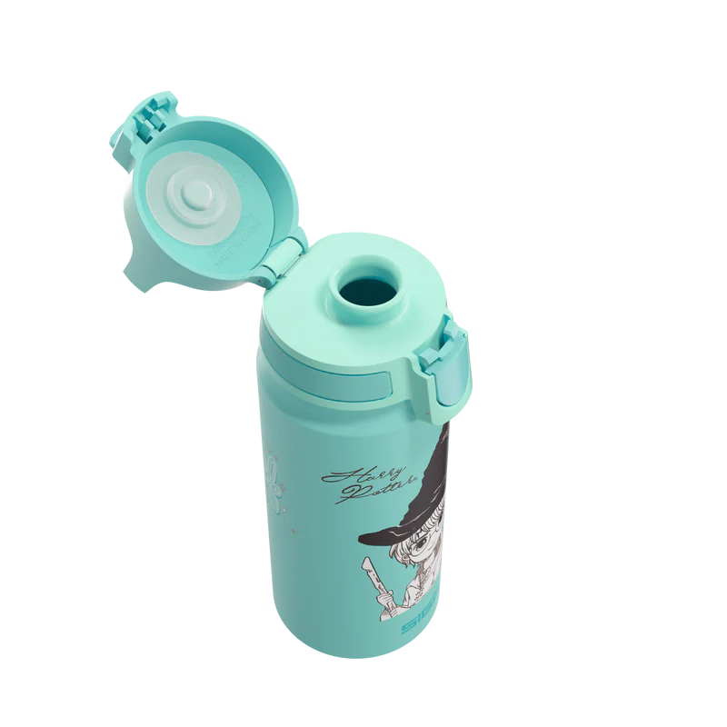 Botella de agua WMB ONE Kids Harry Potter de 0,6 L 