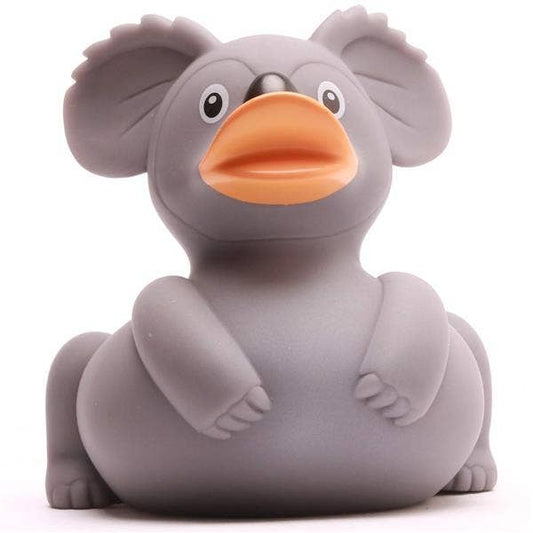 Canard koala