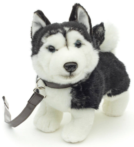 Peluche Chiot husky, debout avec laisse