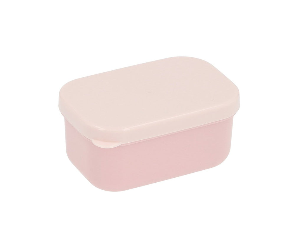 Boîte à déjeuner Bento Insectes