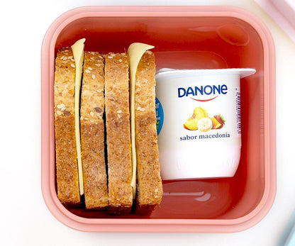 Fiambrera grande apta para mascotas