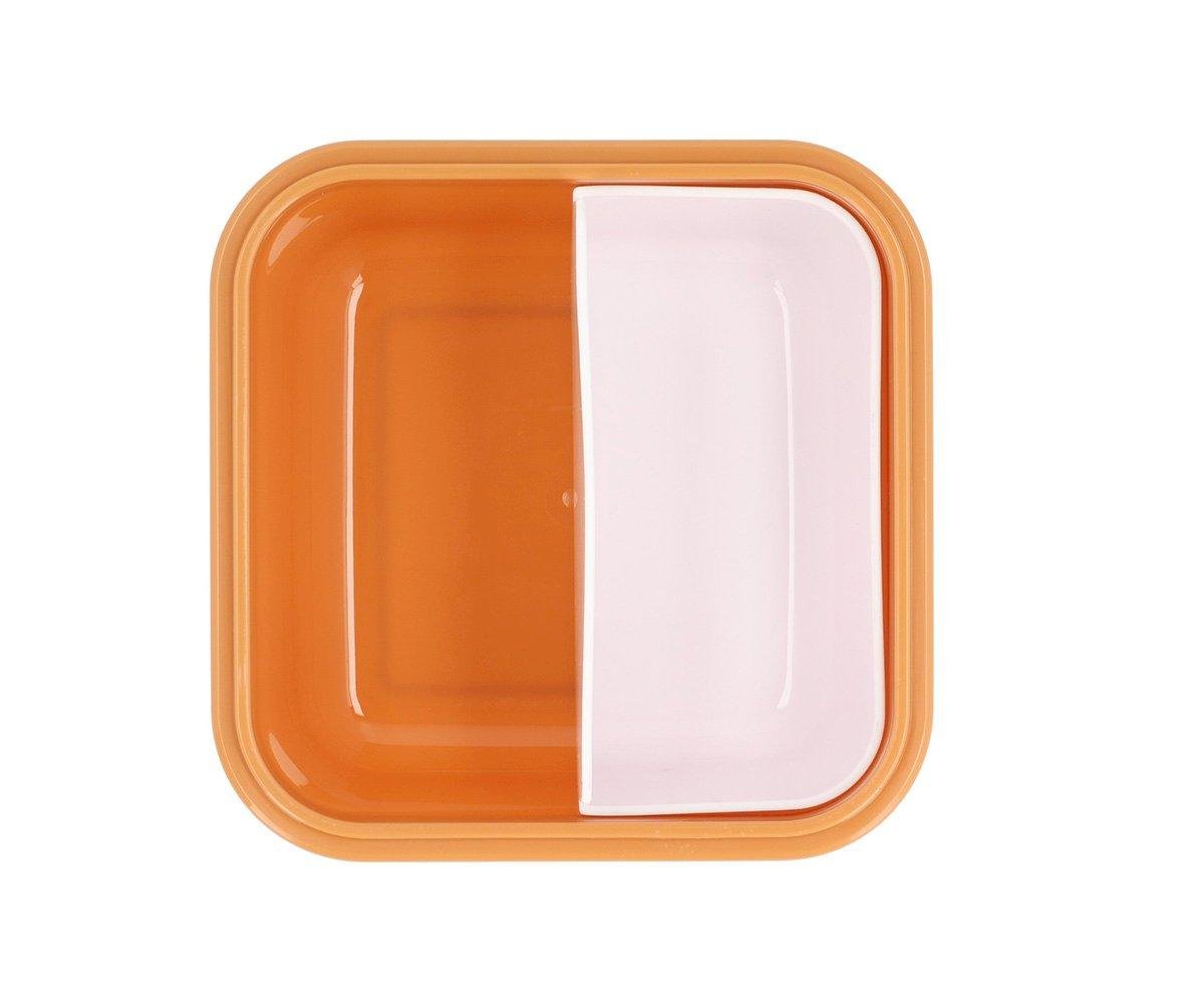 Large Savannah Lunch Box