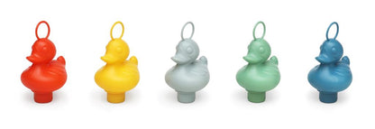 Fishing Ducks Box - ECO