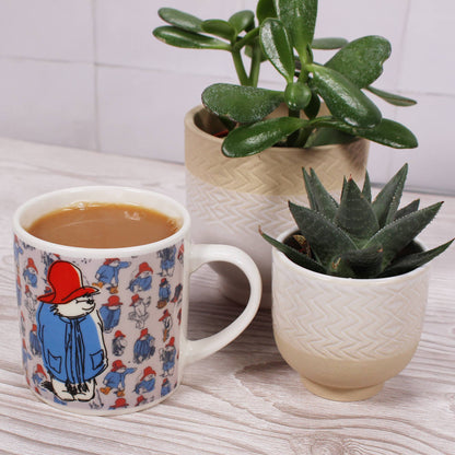 Tazza Classic Heat Chg. in scatola (310 ml) - Paddington