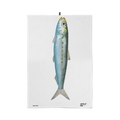 Nadine the Sardine Dishcloth