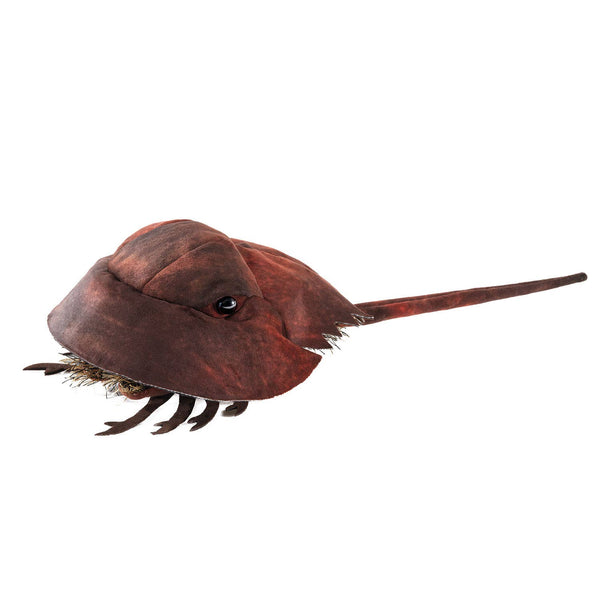 Marionnette à main Crabe à cheval/Crabe de fer à cheval 3218 Folkmanis réaliste