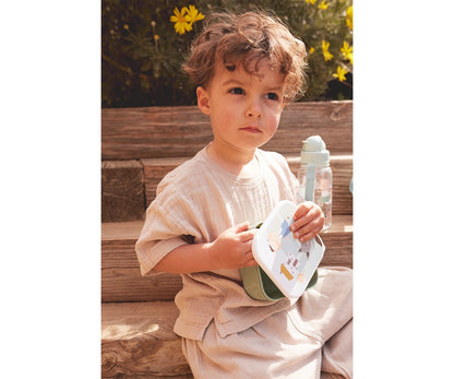 3 Three Little Pigs Lunch Boxes