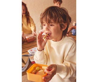 3 Three Little Pigs Lunch Boxes