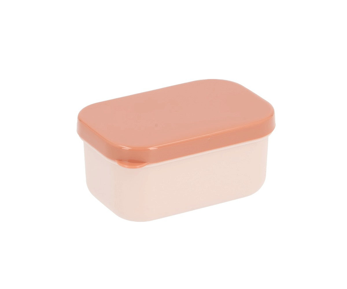 Boîte à Déjeuner Bento Nature Géométrique