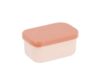 Boîte à Déjeuner Bento Nature Géométrique