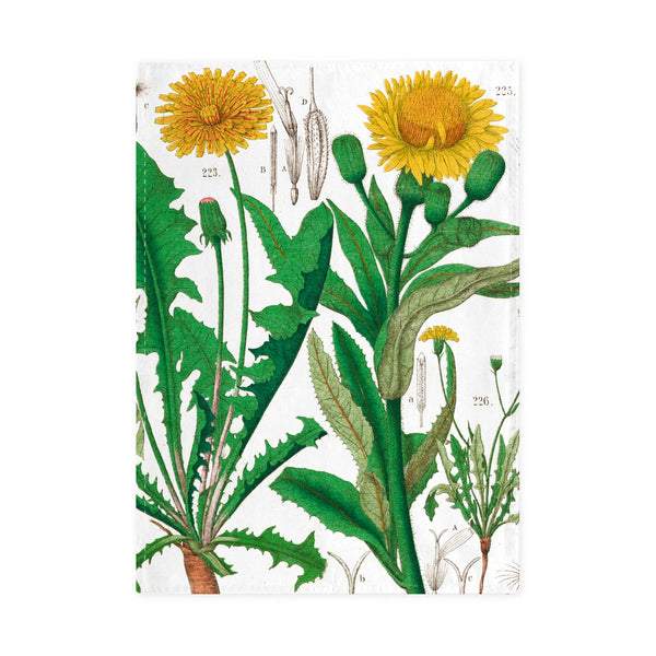 Torchon Hortus Botanicus avec motif de pissenlit