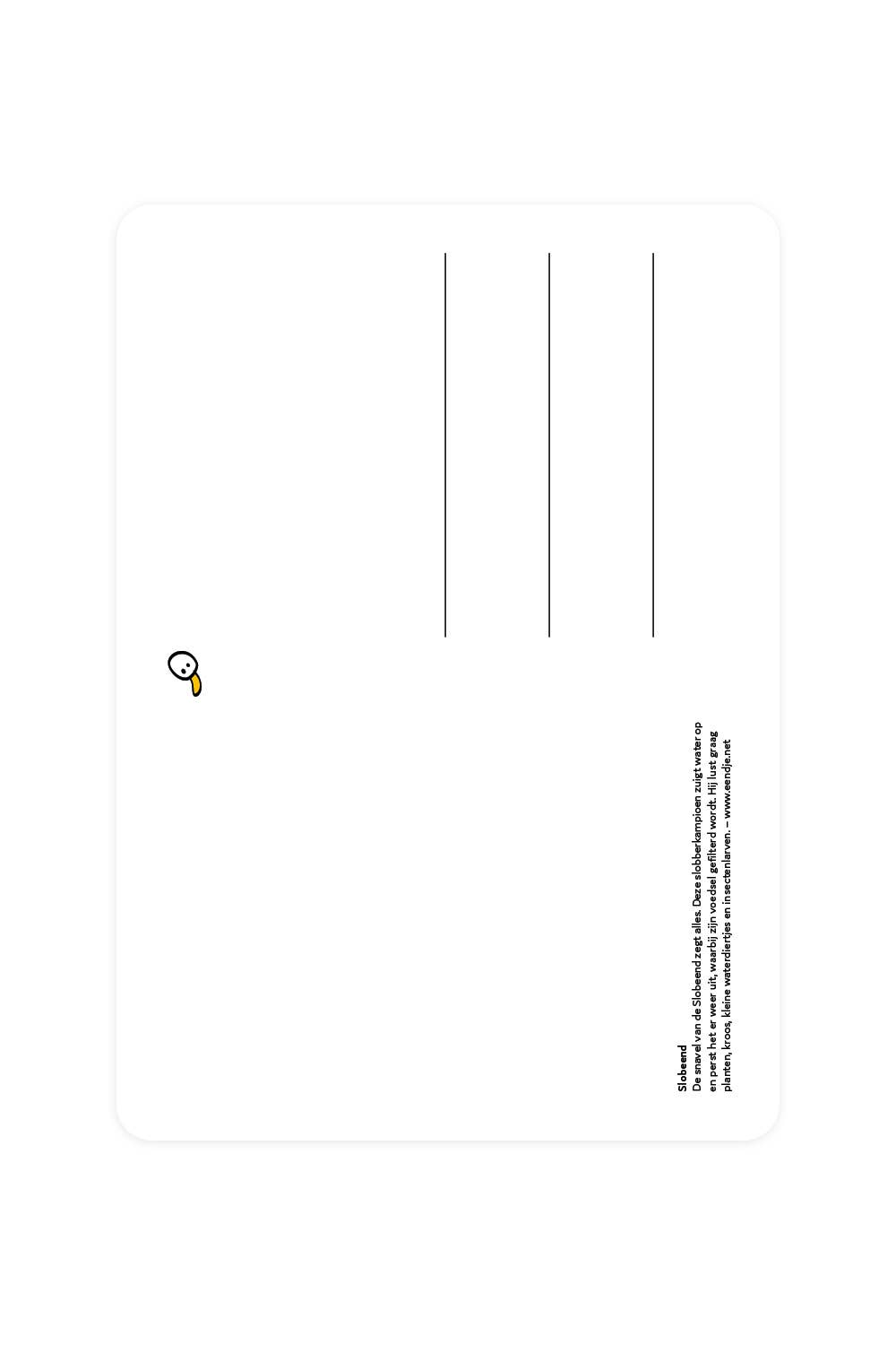 Carte postale avec Shoveler