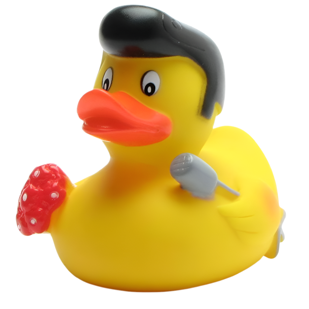 Rock'n'roll Duck
