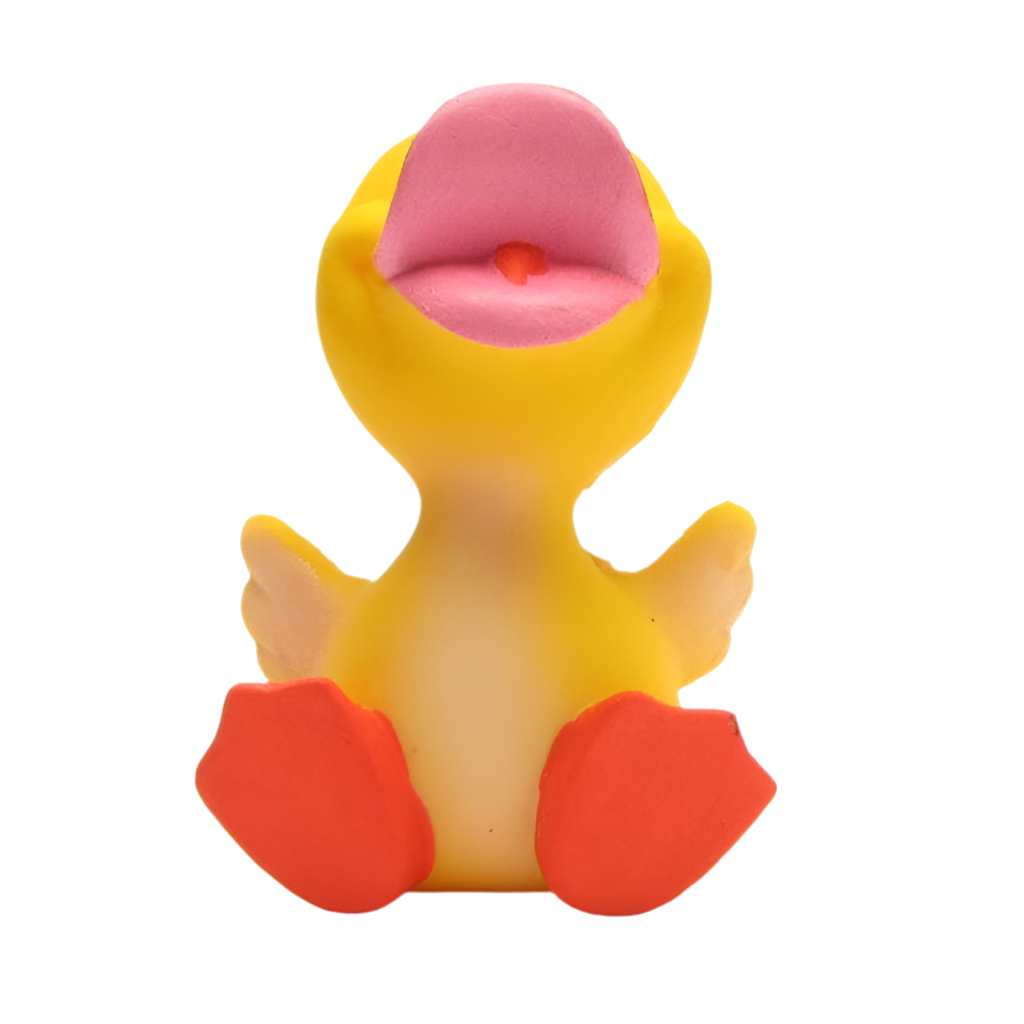 Baby Duck