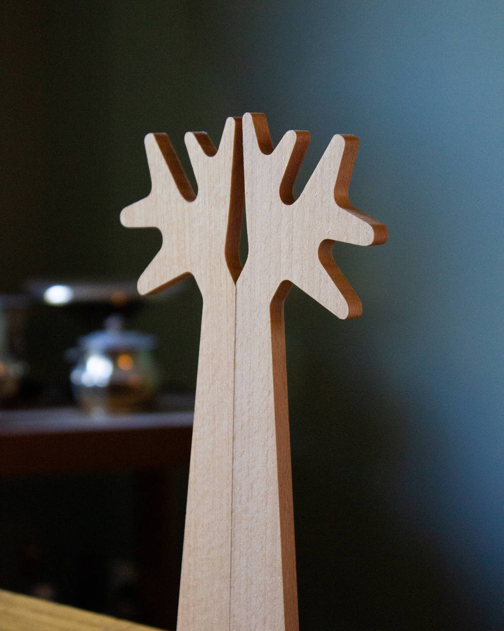 Couverts à Salade - Du Bout des Branches