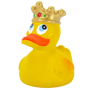 Canard Roi
