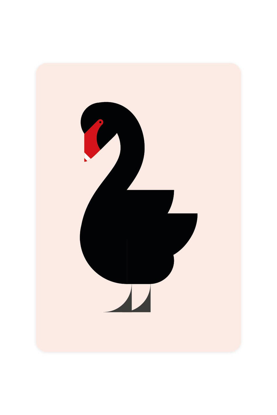 Cisne negro