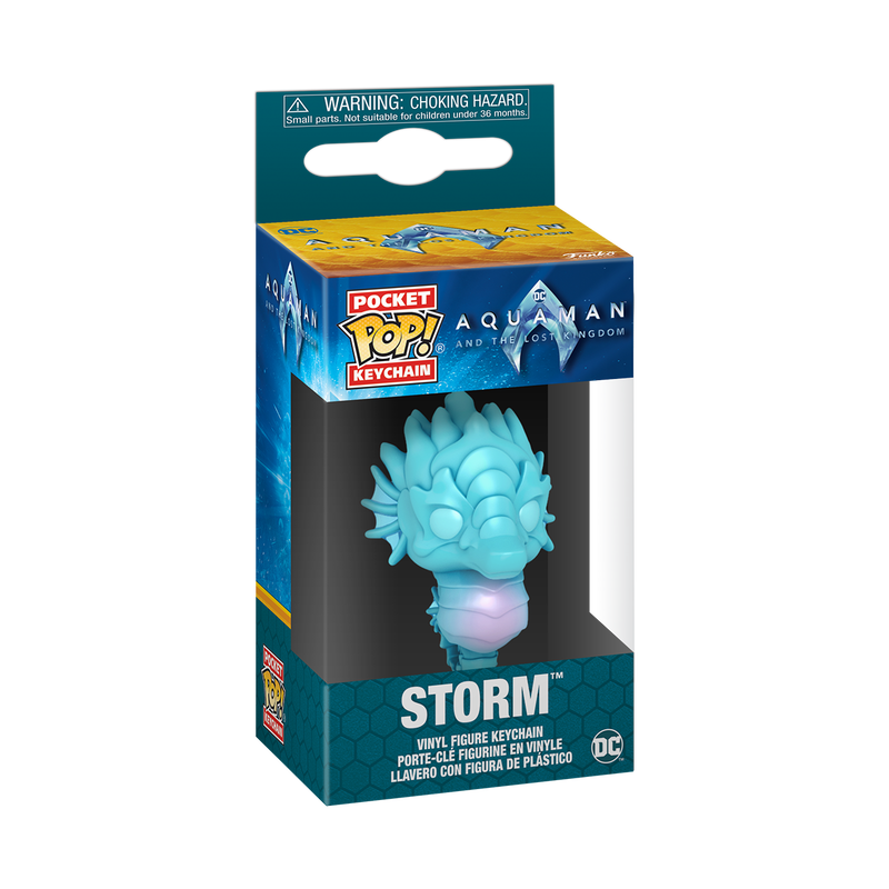 Pop! Keychain Storm