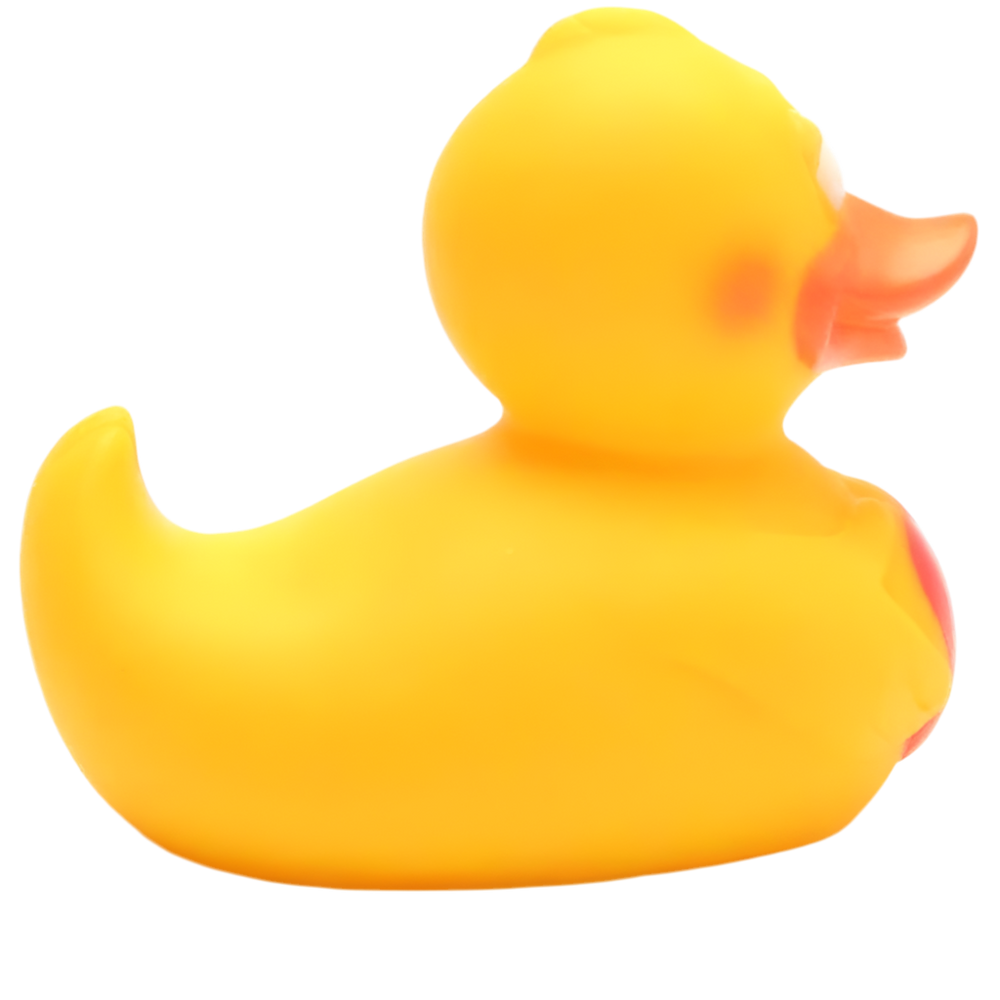 Pato con corazón