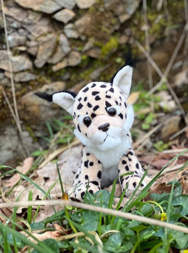 Peluche de lince Cuddle Cub