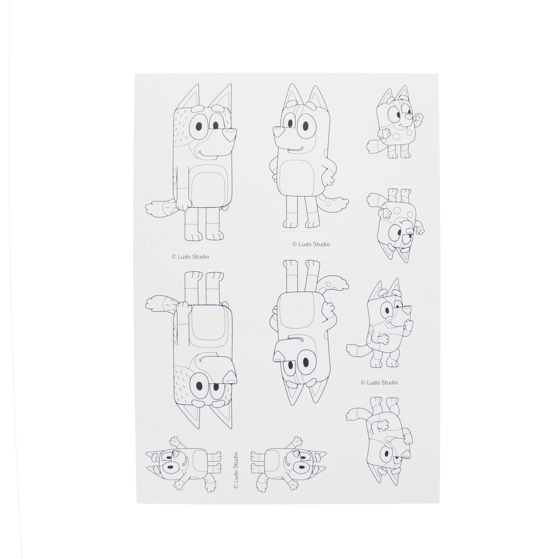 Bluey – Build, Colour and Play | Blueprint Collections – vue 5