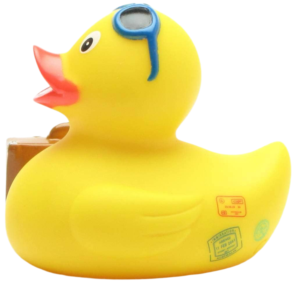 Traveling Duck
