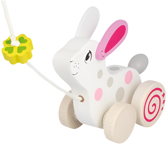 Animal para tirar - Conejo