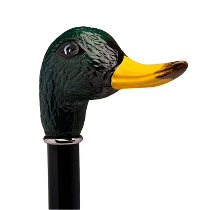 Canne Canard Colvert