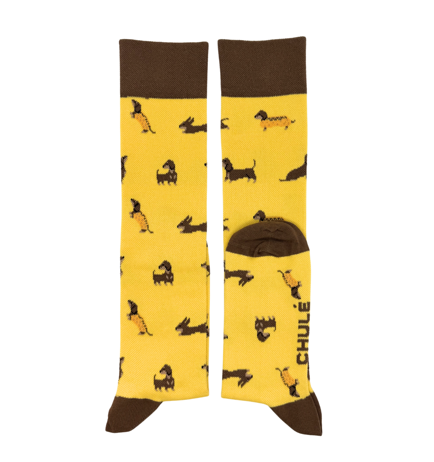 Chaussettes de Compression « Kiko – Chien Teckel » - Chulé