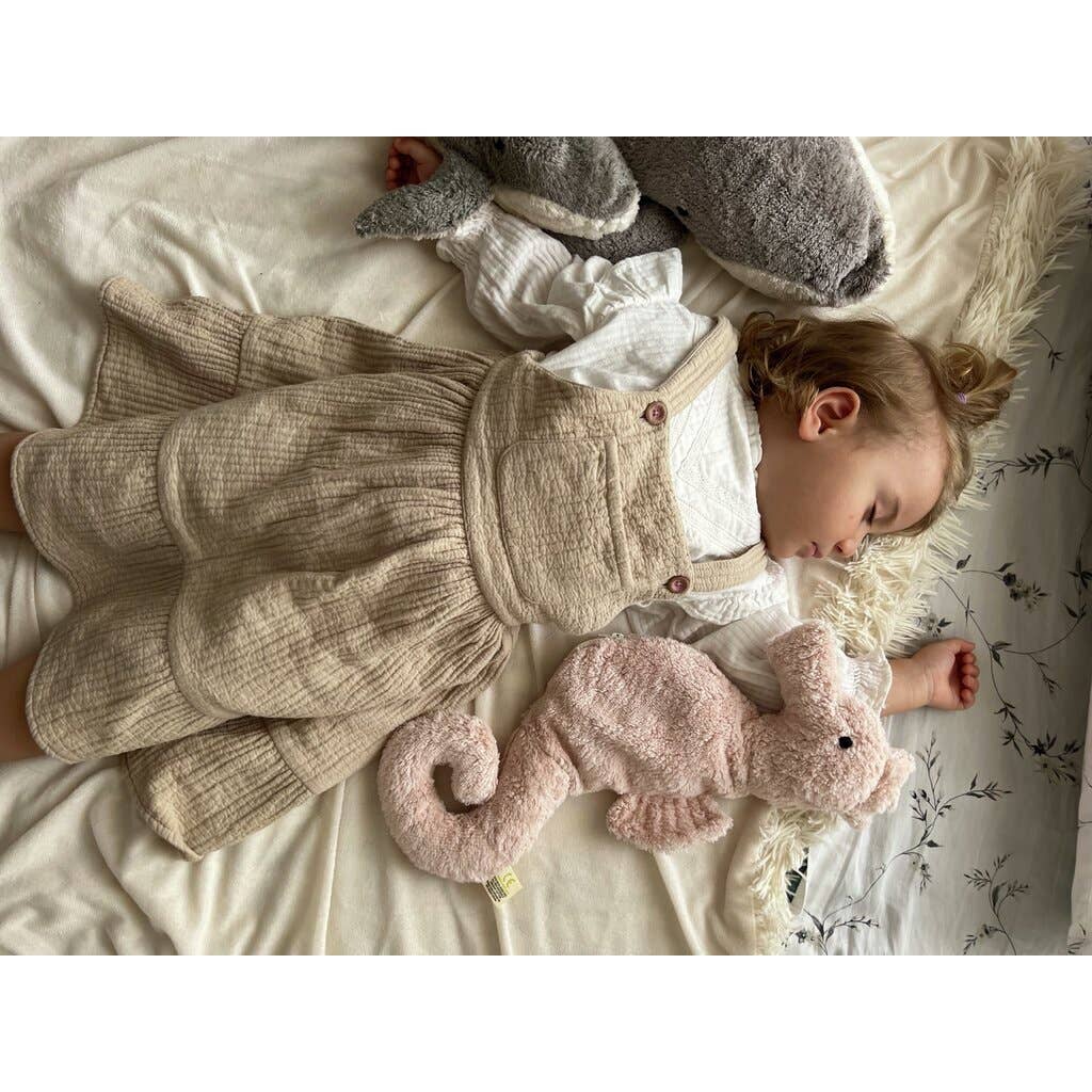 Small cuddly plush seahorse