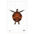 Canovaccio Miss Turtle