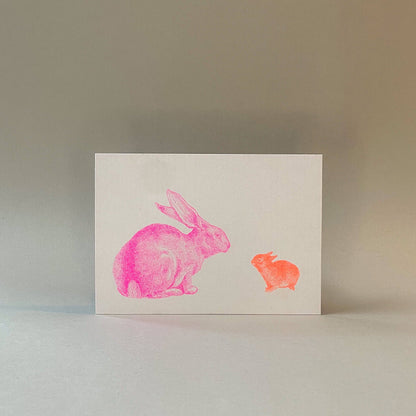 Rabbit Postcard