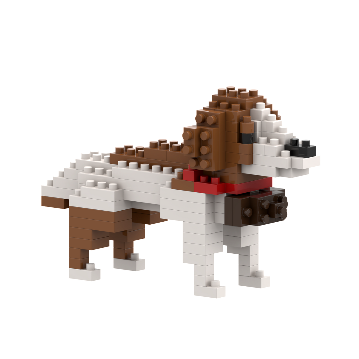 Saint-Bernard