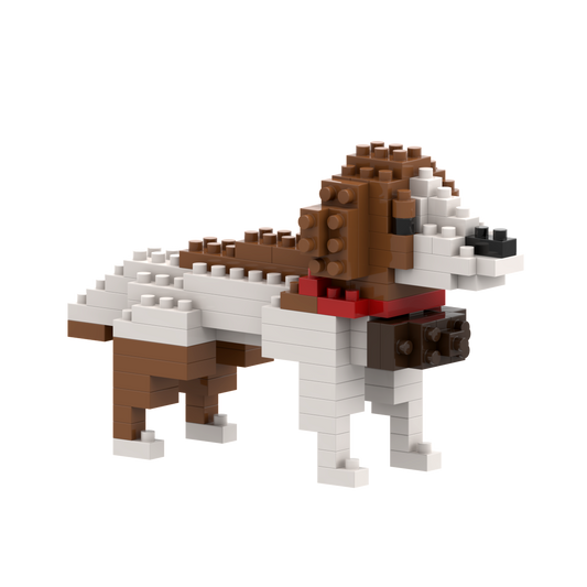 Brixies Saint Bernard