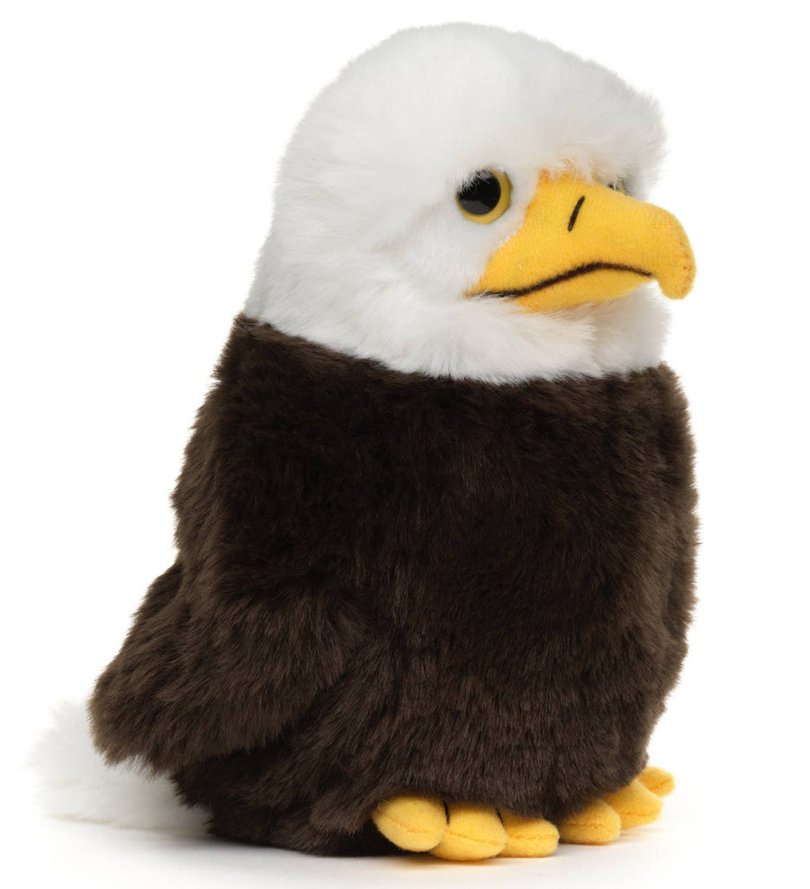 Weißkopfseeadler