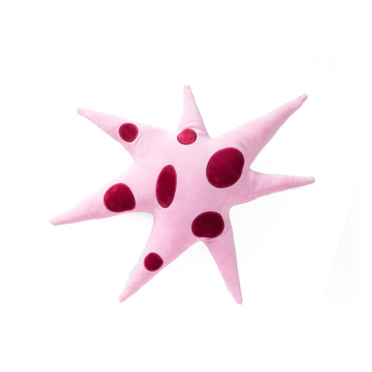 Étoile Polaire Rose Coussin Helio Ferretti Vue 1