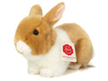 Peluche Coniglio Beige e Bianco