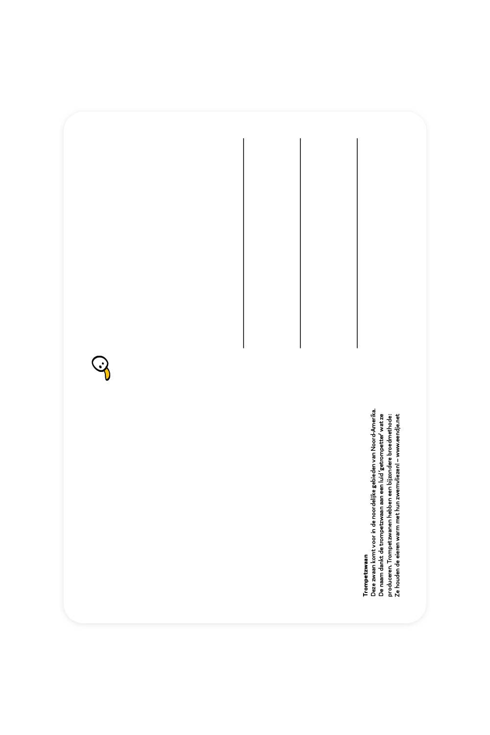 Postal con cisne trompetero