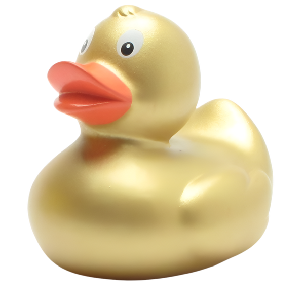 canard classique dore