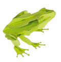 Modelo de Papel 3D - Grenouille