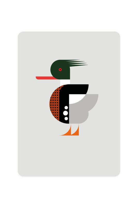 Postcard with Red-breasted Merganser