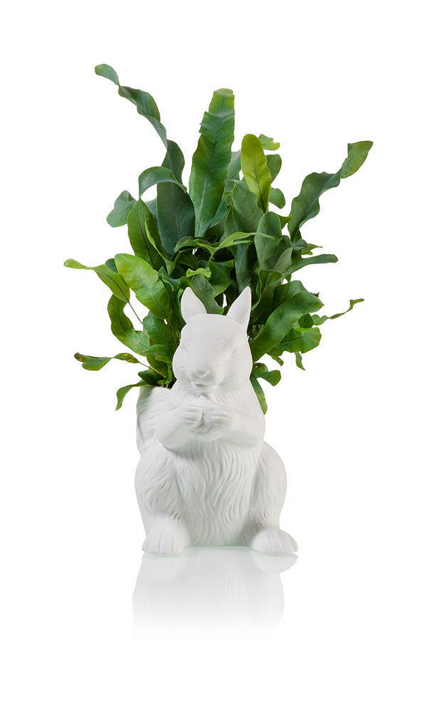 Pot de Fleur Écureuil