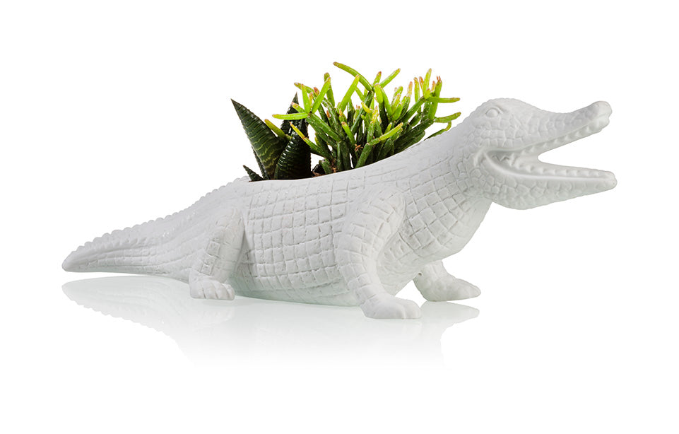 Pot de Fleur Crocodile